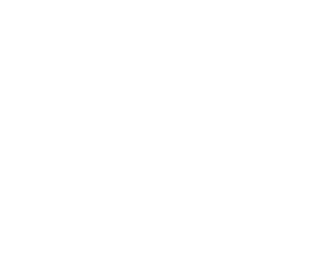 DG4