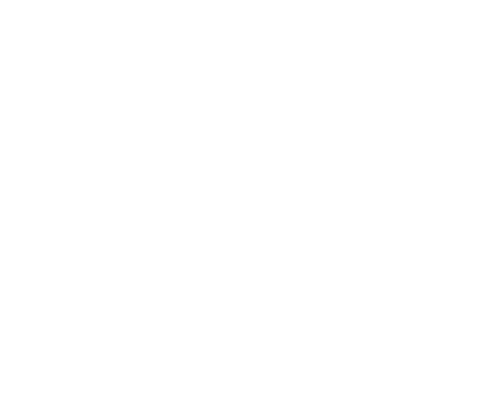 Plaenge