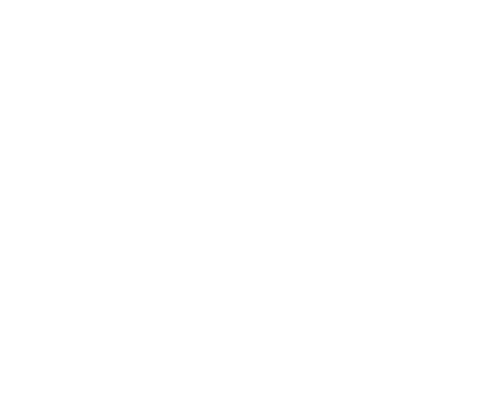 Singular