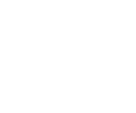 iAndes